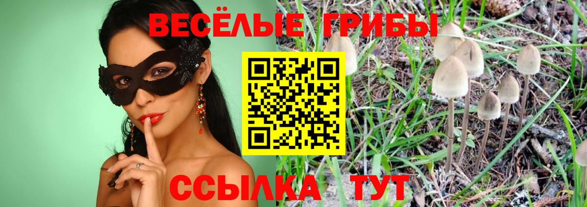 Королёв  Псилоцибиновые грибы Psilocybe  Вход с VPN  Галлюциногенные грибы MAGIC MUSHROOMS 