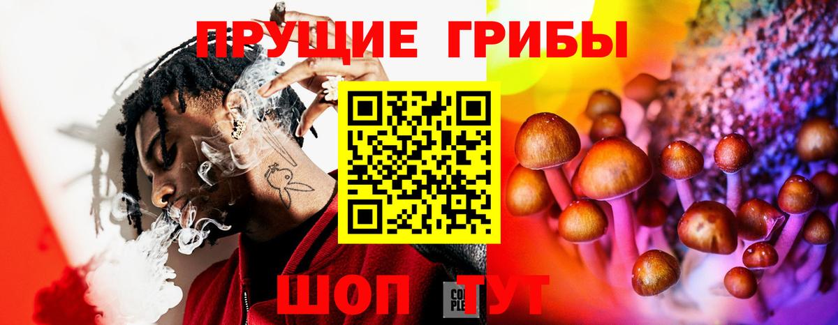 Псилоцибиновые грибы ЛСД Королёв